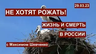 Власть, рождение и смерть в России. Вопросы и ответы. 29.03.23