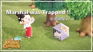 Marshal Was Trapped in a Cage! | Umbrella | Pro Design | Custom Design | ACNH [Speed Paint]
