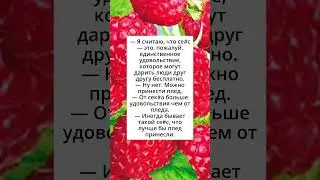 единственное удовольствие 