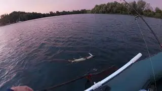 Осень Время ловить щуку