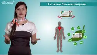 Презентация МейТан