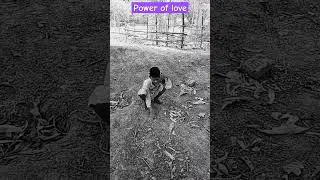 power of love funny video viral short #video  TOR TV 89