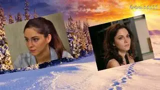 Любовь Попова    -    Роза на снегу