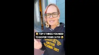 💯 Top 5 Things You Should Provide for Your Cat!