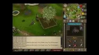 RuneScape - Achievement Diary - Falador - Elite