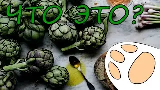 ЧТО ТАКОЕ АРТИШОК? + РЕЦЕПТ / САМЫЙ БЫСТРЫЙ РЕЦЕПТ / МУЛЬТРЕЦЕПТ
