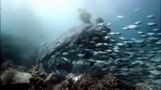 Самая красивая видео каторое мне давелось видеть!!