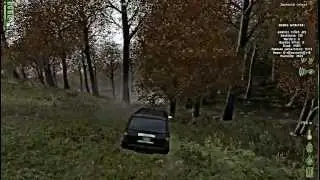 DayZ server 