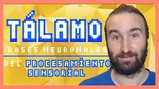 El TÁLAMO | 🧠 El Atlas del Cerebro