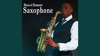 Quick Honk Played on a Baritone Saxophone