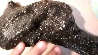 мой новый лизун