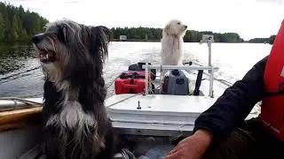 Живописный Беломорканал: от Онего до Белого моря