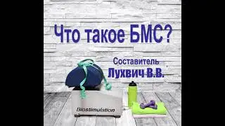 1. Что такое БМС