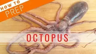 How to Prep Octopus【Sushi Chef Eye View】