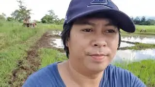 PABUKID