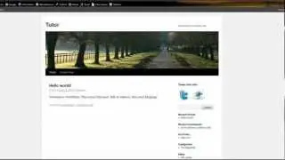 Wordpress - How to Create a Custom Widget without Knowing HTML