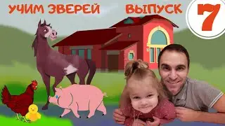 Учим зверей. Выпуск 7. Развивающее видео для детей.
