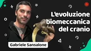 L'evoluzione biomeccanica del cranio - con Gabriele Sansalone