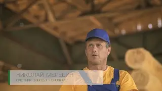 Рубленные дома. Городлес в лицах