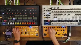 Fake Real ReBirth RB-338