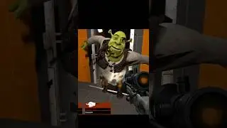 Playing Modded L4D2