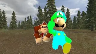 SM64: Never Touch DK's Bananas (Collab Entry)