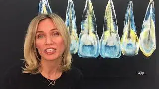 Dr. Peggy Bown busts myth about children not needing to see the dentist early on.