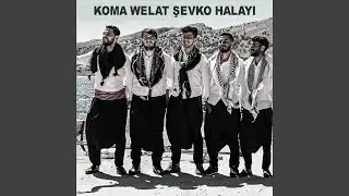 Şevko Halayı