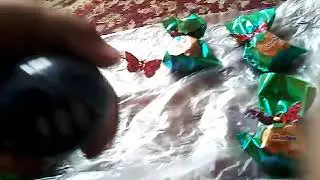 Я вернулась