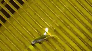 China Tab Display Ribbon jumper  #repair #longervideo  #foryoupage