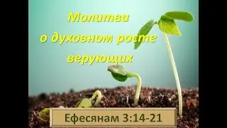 15 Молитва о духовном росте верующих (Еф. 
