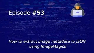 How to extract image metadata to JSON using ImageMagick