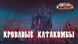 WOW Shadowlands/Мифические подземелья/Кровавые Катакомбы