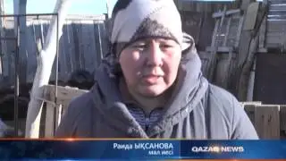 03 11 2014 Орал қаласындағы «Восход» бірлестігінің аумағында  жантүршігерлік оқиға орын алды
