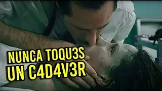 👉 resumen: PËVĖRTÎDØ Se Åprøvechå y ÅBÛSÅ del CAD4VĖR de una Chîcå