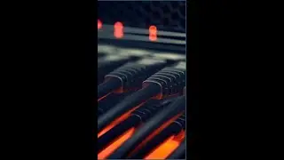 Understanding the Essential Physical Layer