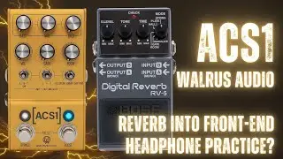 Walrus Audio ACS1 And Boss Reverb Pedal