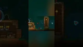 siziphus #terraria #meme #shorts