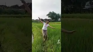 Tiktok Janda Bohai
