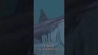 Top 5 Weirdest Prehistoric Sharks - #sharkweek