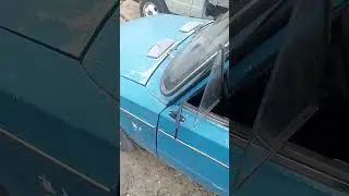 29 мая 2024 г.