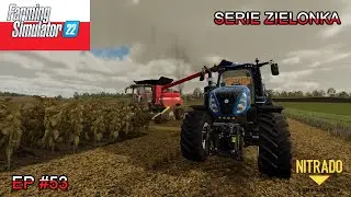 FS22 SERIE ZIELONKA #53 Vendita bancali e raccolta girasoli
