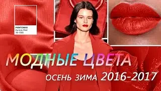 МОДНЫЕ ЦВЕТА Осень - Зима 2016 - 2017