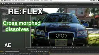 RE:Flex for AE - Cross Morphed Dissolves