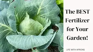 The Best Fertilizer for your garden!