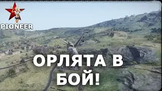 Campaign 