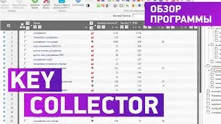 Key collector. Обзор программы. Парсинг, сбор частотности, разбивка по группам.