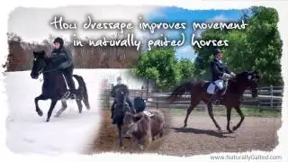 How Dressage Improves Smooth Gaits #tennesseewalkinghorse