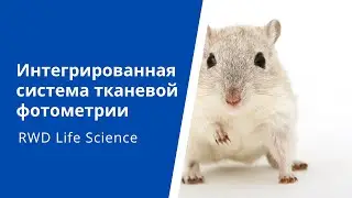 Мониторинг свободно перемещающихся животных на протяжении длительных периодов времени.