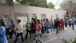 Procesion Domingo Ramos Coyoacan 2026